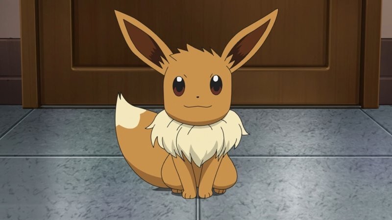Eevee tràn đầy năng lượng và sẵn sàng khám phá