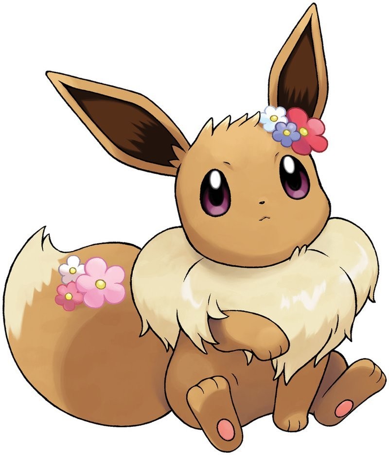 Eevee với ánh mắt ngây thơ và tò mò