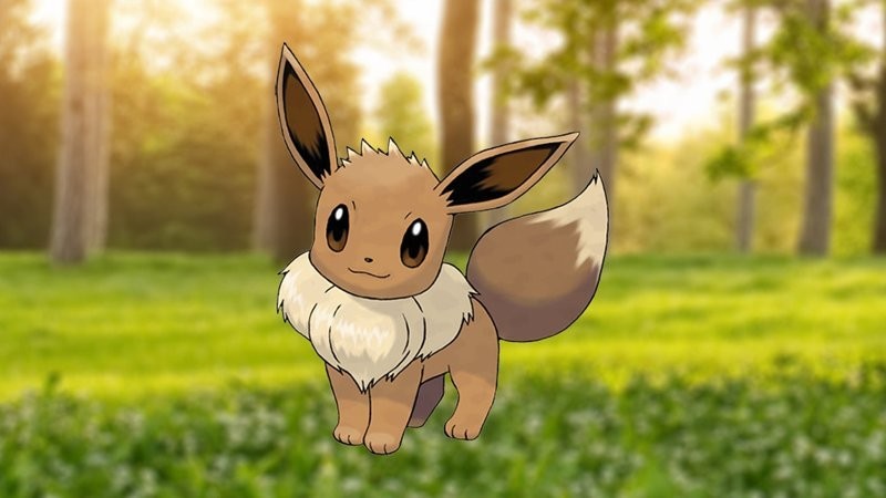 Eevee với bộ lông mềm mại